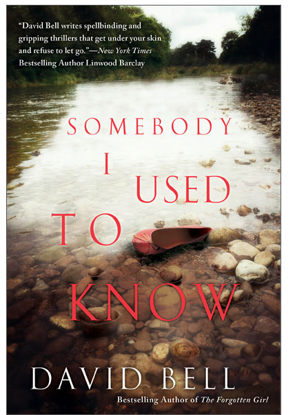 SomebodyIUsedToKnowSm